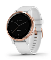 Vivoactive 4S