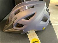 Path Mips